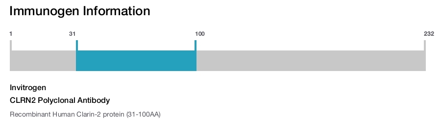 CLRN2 Polyclonal Antibody