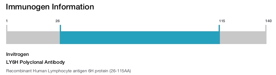 LY6H Polyclonal Antibody