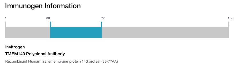 TMEM140 Polyclonal Antibody