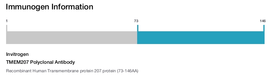 TMEM207 Polyclonal Antibody