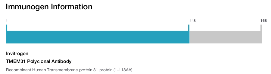 TMEM31 Polyclonal Antibody