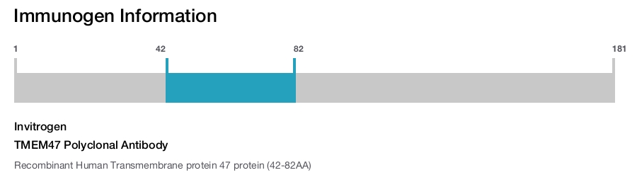 TMEM47 Polyclonal Antibody