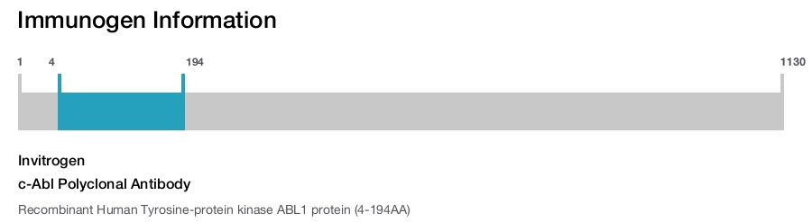 c-Abl Polyclonal Antibody