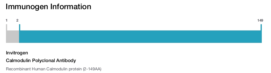 Calmodulin Polyclonal Antibody