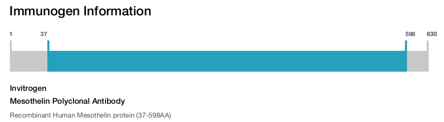 Mesothelin Polyclonal Antibody