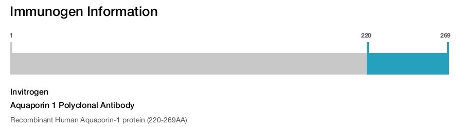 Aquaporin 1 Polyclonal Antibody