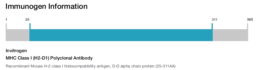 MHC Class I (H2-D1) Polyclonal Antibody