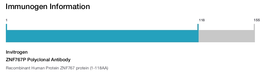 ZNF767P Polyclonal Antibody