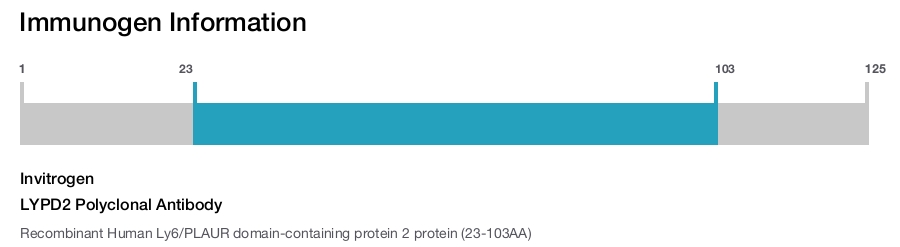 LYPD2 Polyclonal Antibody