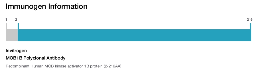 MOB1B Polyclonal Antibody