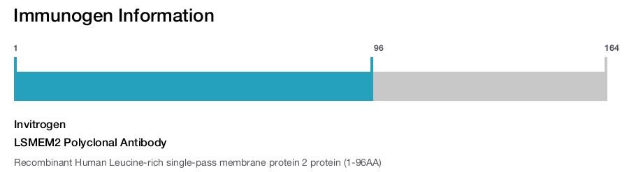 LSMEM2 Polyclonal Antibody