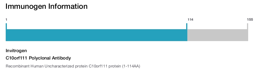 C10orf111 Polyclonal Antibody