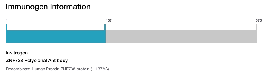 ZNF738 Polyclonal Antibody