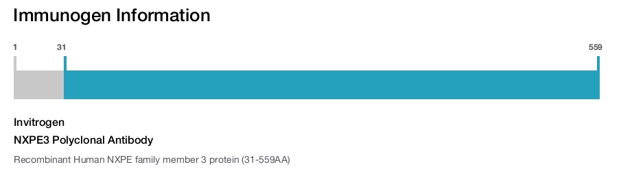 NXPE3 Polyclonal Antibody