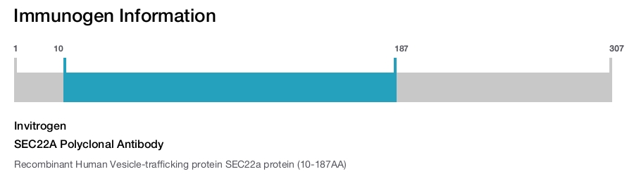 SEC22A Polyclonal Antibody
