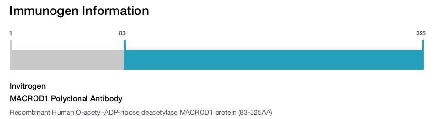 MACROD1 Polyclonal Antibody