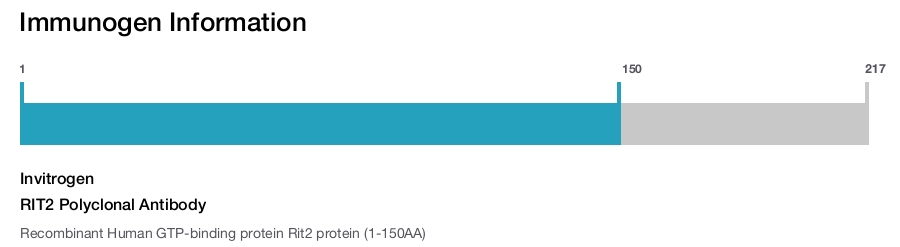 RIT2 Polyclonal Antibody