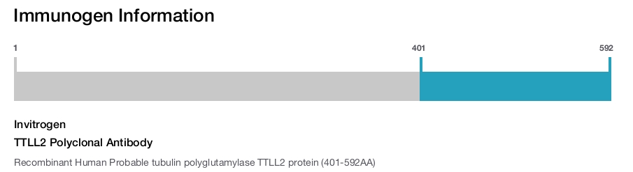 TTLL2 Polyclonal Antibody