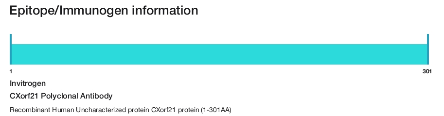 CXorf21 Polyclonal Antibody