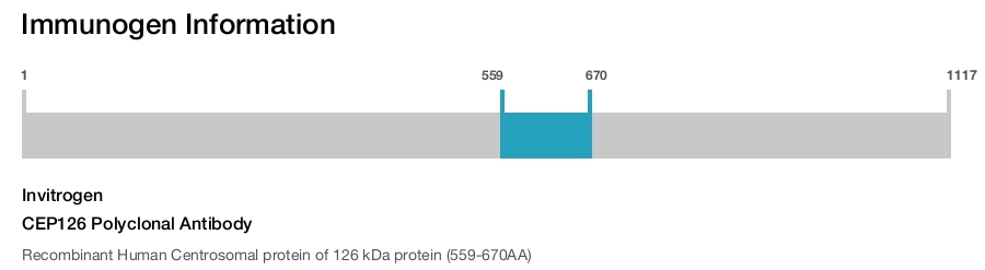 CEP126 Polyclonal Antibody