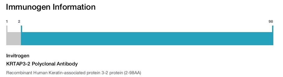 KRTAP3-2 Polyclonal Antibody