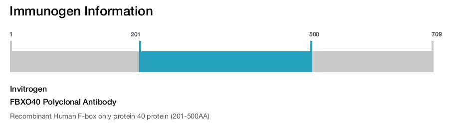 FBXO40 Polyclonal Antibody