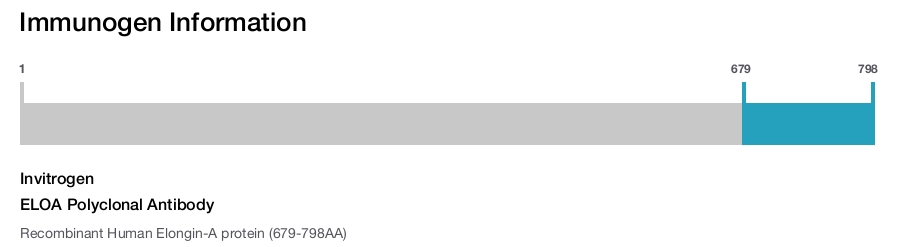 ELOA Polyclonal Antibody