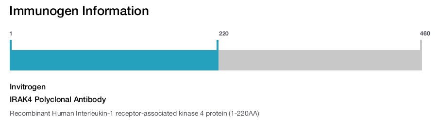 IRAK4 Polyclonal Antibody