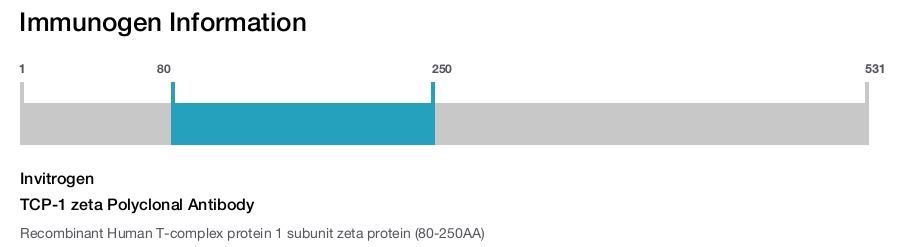 TCP-1 zeta Polyclonal Antibody