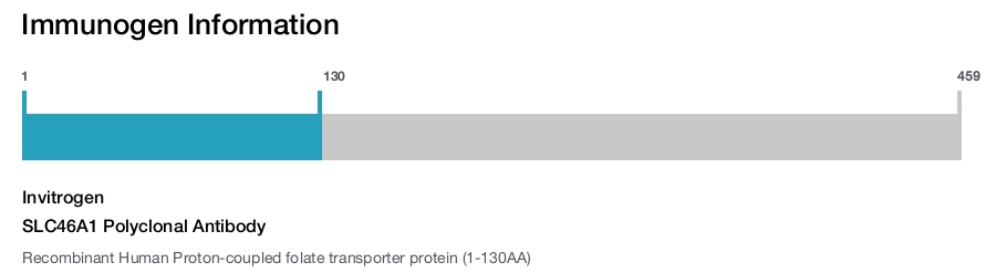 SLC46A1 Polyclonal Antibody