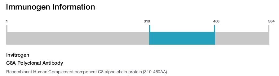 C8A Polyclonal Antibody