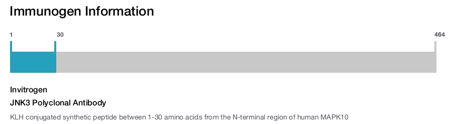 JNK3 Polyclonal Antibody