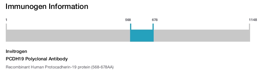 PCDH19 Polyclonal Antibody