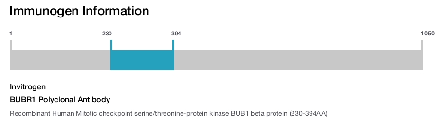 BUBR1 Polyclonal Antibody