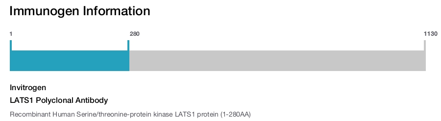 LATS1 Polyclonal Antibody