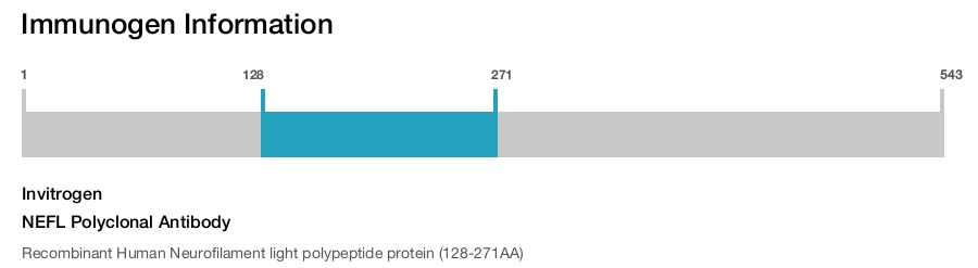 NEFL Polyclonal Antibody