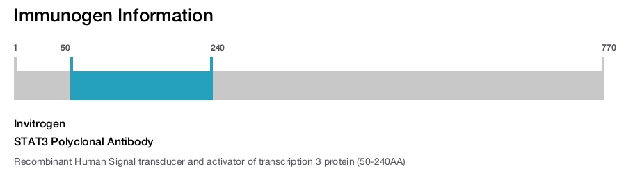 STAT3 Polyclonal Antibody