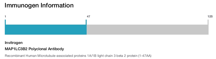MAP1LC3B2 Polyclonal Antibody