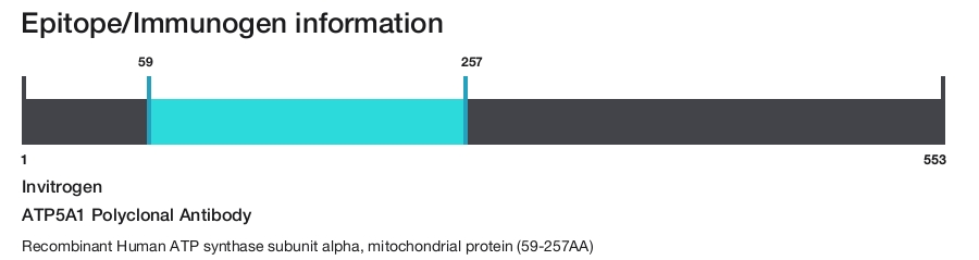 ATP5A1 Polyclonal Antibody
