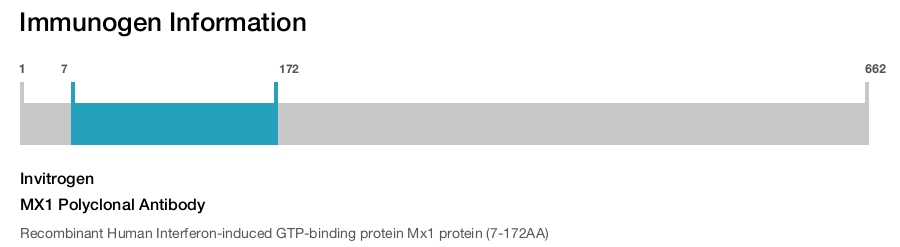 MX1 Polyclonal Antibody