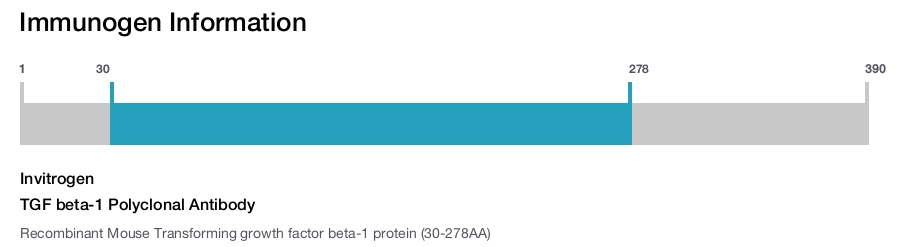 TGF beta-1 Polyclonal Antibody