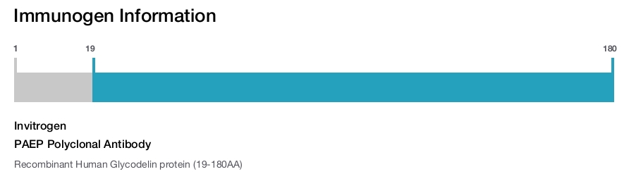 PAEP Polyclonal Antibody