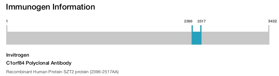 C1orf84 Polyclonal Antibody