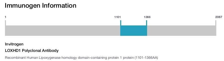 LOXHD1 Polyclonal Antibody