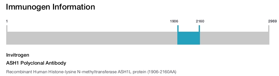 ASH1 Polyclonal Antibody
