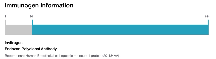 Endocan Polyclonal Antibody