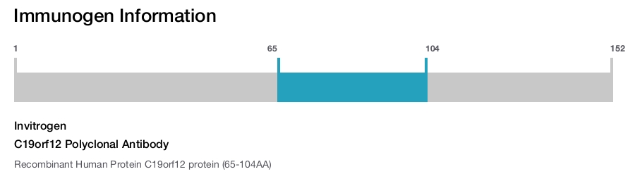 C19orf12 Polyclonal Antibody