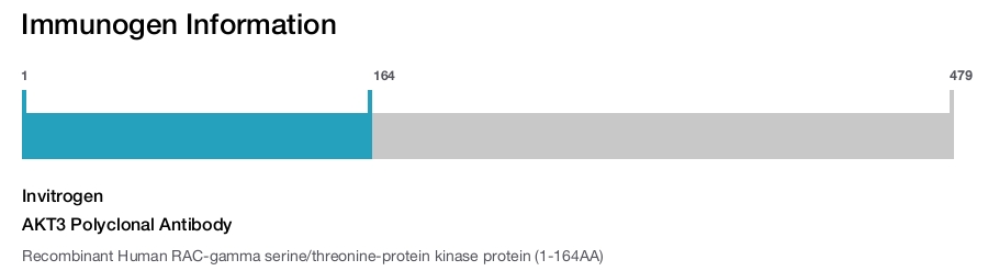 AKT3 Polyclonal Antibody