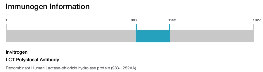 LCT Polyclonal Antibody