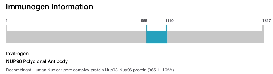 NUP98 Polyclonal Antibody